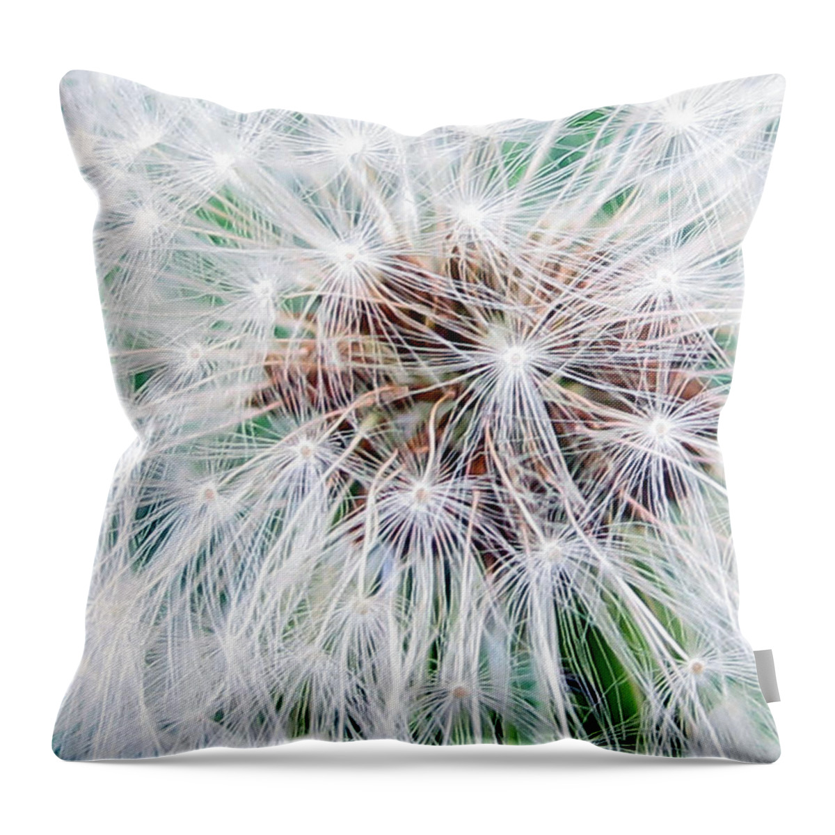 Dandilion Throw Pillow featuring the photograph Make A Wish by Kelly Holm