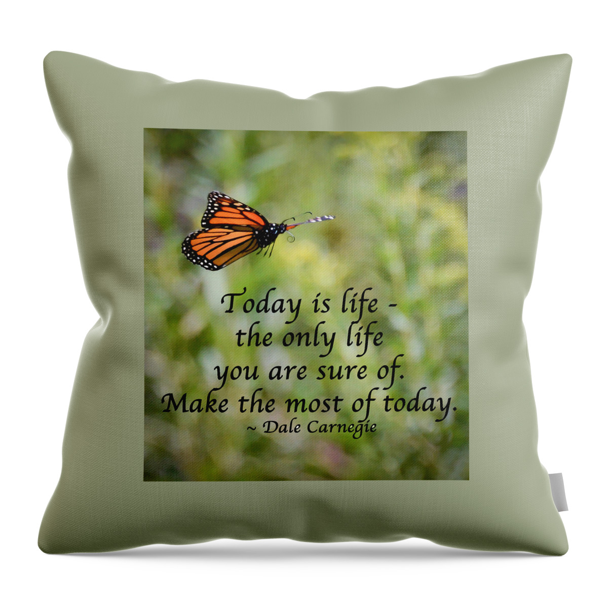 Monarch Throw Pillow featuring the photograph Make The Most of Today by Kerri Farley