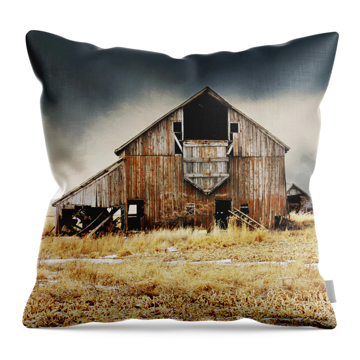 Barn Throw Pillow featuring the photograph Making History by Julie Hamilton