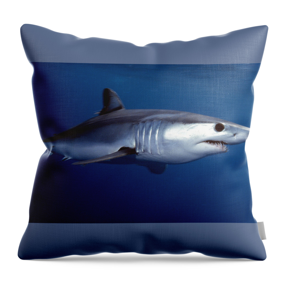 Mako Shark Throw Pillow featuring the digital art Mako Shark by Super Lovely