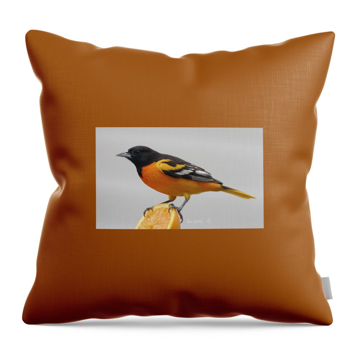 Male Baltimore Oriole Throw Pillow featuring the photograph Male Baltimore Oriole by Diane Giurco