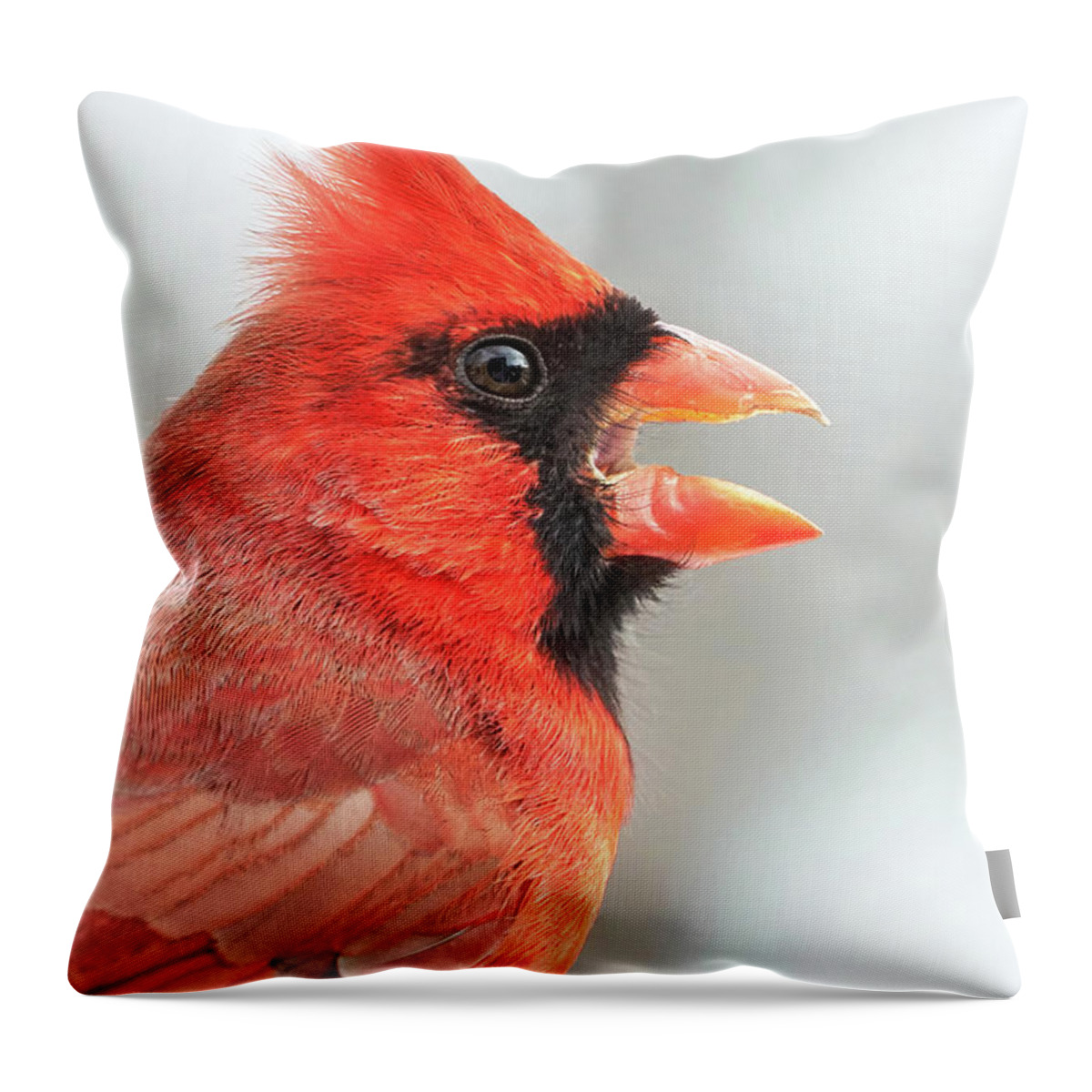Cardinal Throw Pillow featuring the photograph Male Cardinal in profile by Jim Hughes