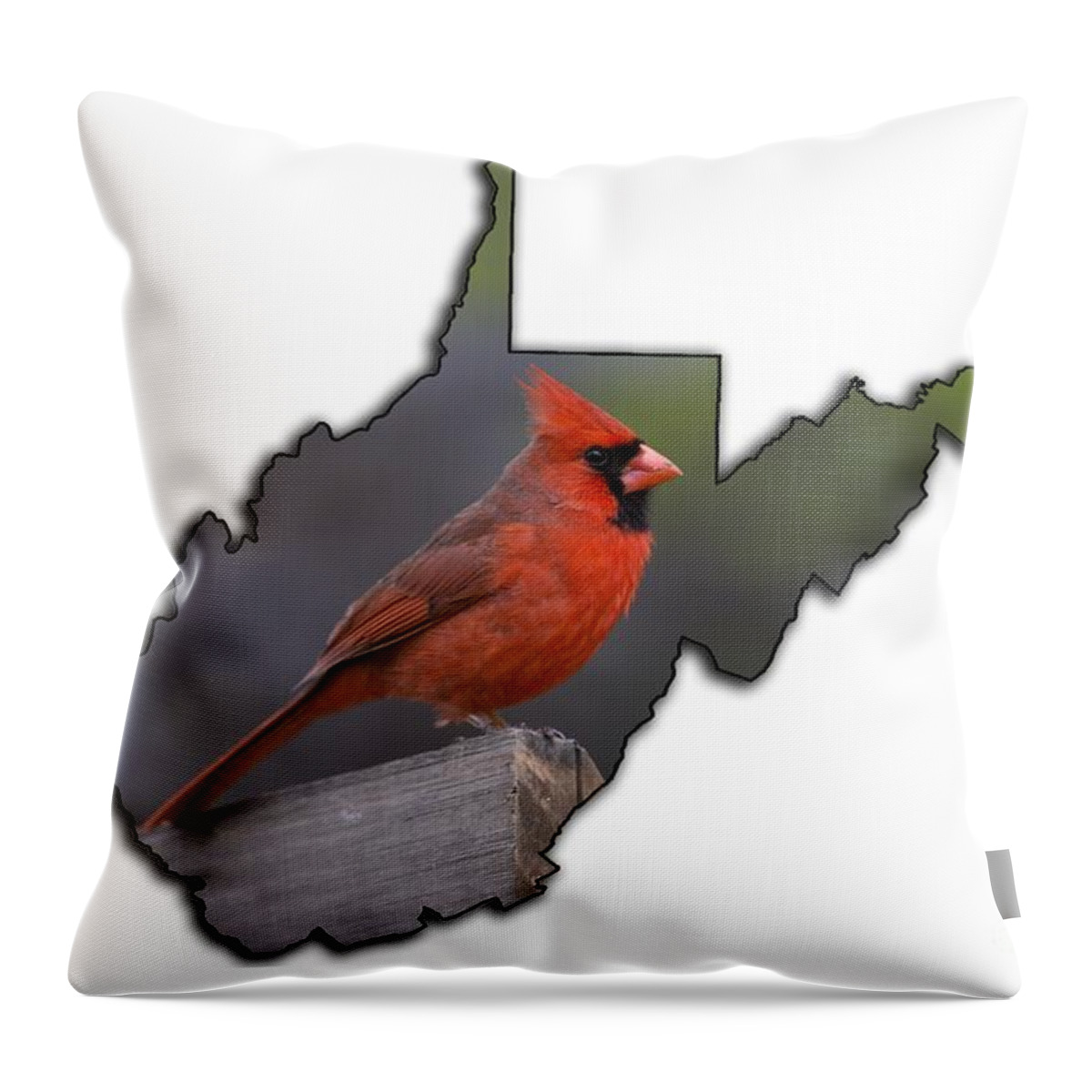 Male; Cardinal; Bird; Red; Posing; Outdoors; Nature Throw Pillow featuring the photograph Male cardinal perched on rail by Dan Friend
