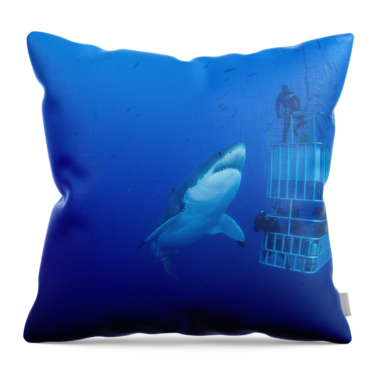 Carcharodon Carcharias Throw Pillow featuring the photograph Male Great White With Cage, Guadalupe by Todd Winner