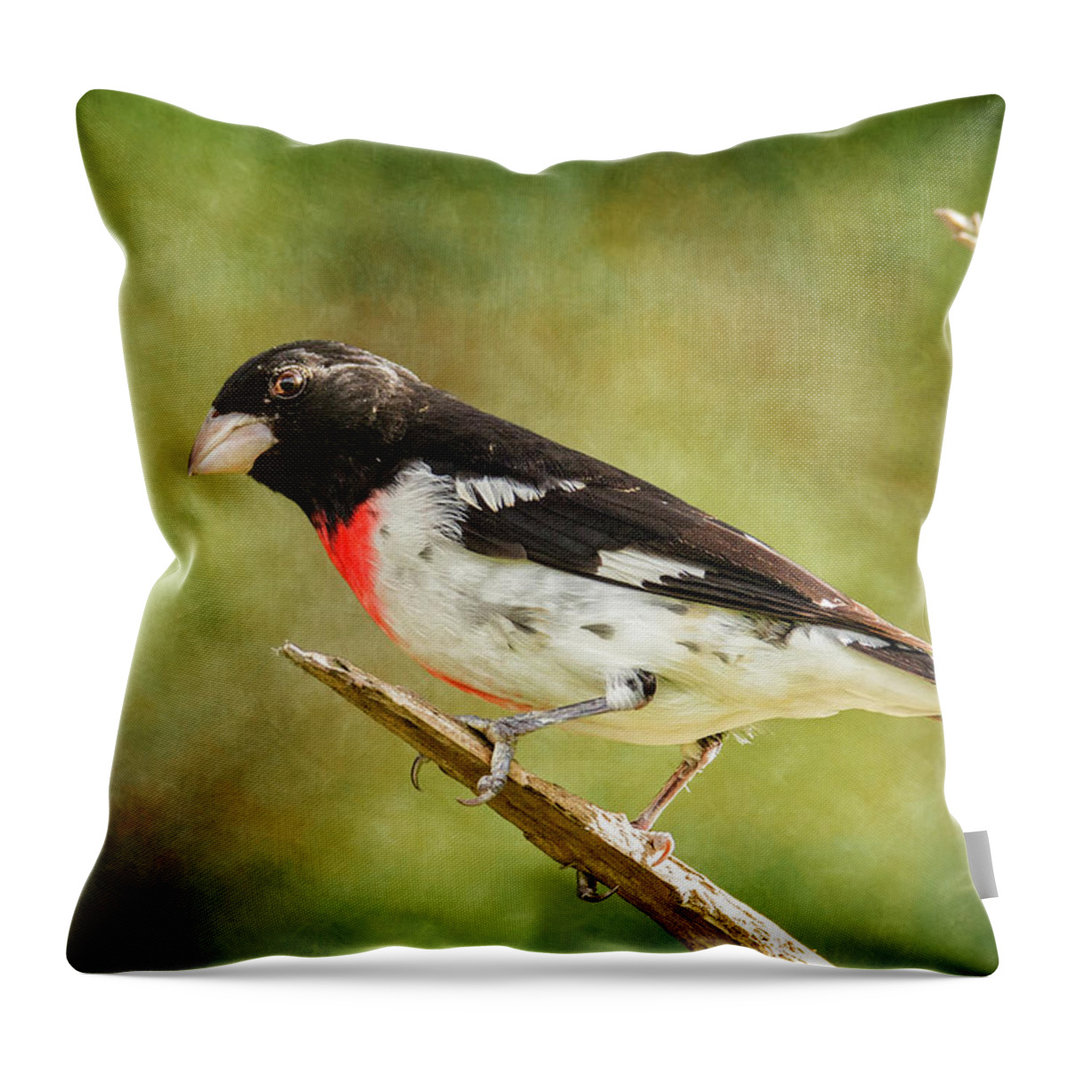 Male Grosbeak Throw Pillow featuring the photograph Male Rose-Breasted Grosbeak On Branch by Bill and Linda Tiepelman