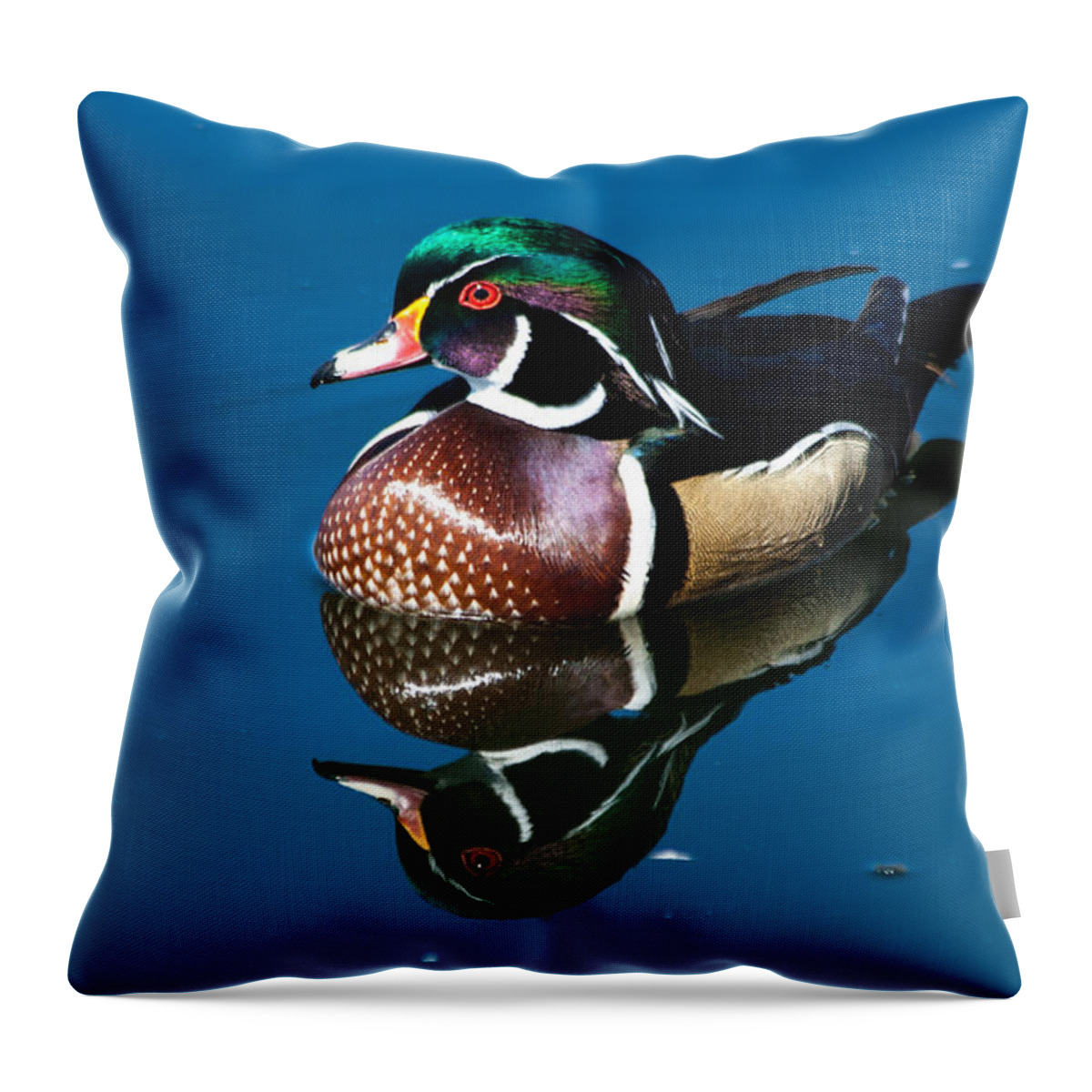 Wood Duck Throw Pillow featuring the photograph Male Wood Duck by Mindy Musick King