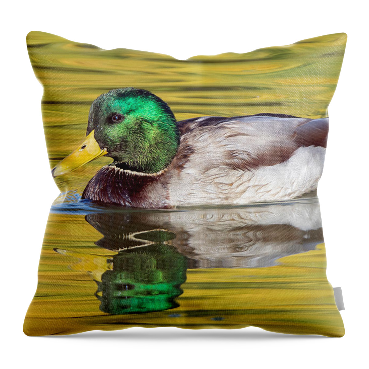 Duck Throw Pillow featuring the photograph Mallard Drake on Golden Pond by Stephen Johnson