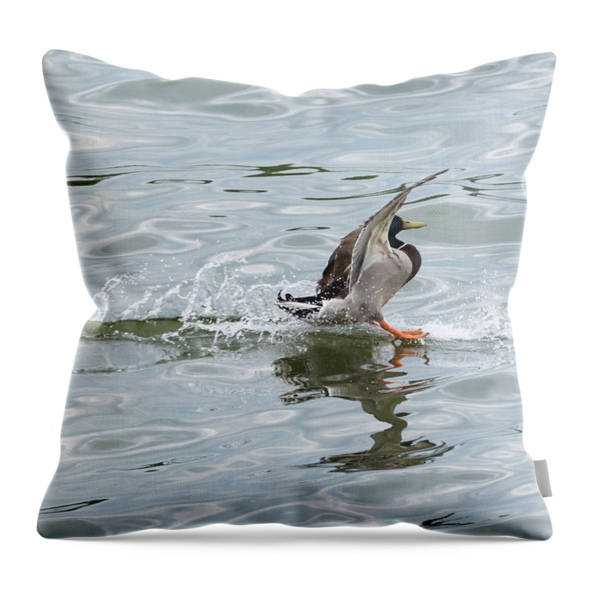 Mallard Throw Pillow featuring the photograph Mallard Duck Sticks His Landing by Holden The Moment