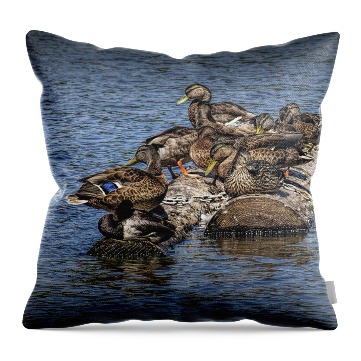 Mallard Throw Pillow featuring the photograph Mallard Ducks sitting on floating logs by Randall Nyhof