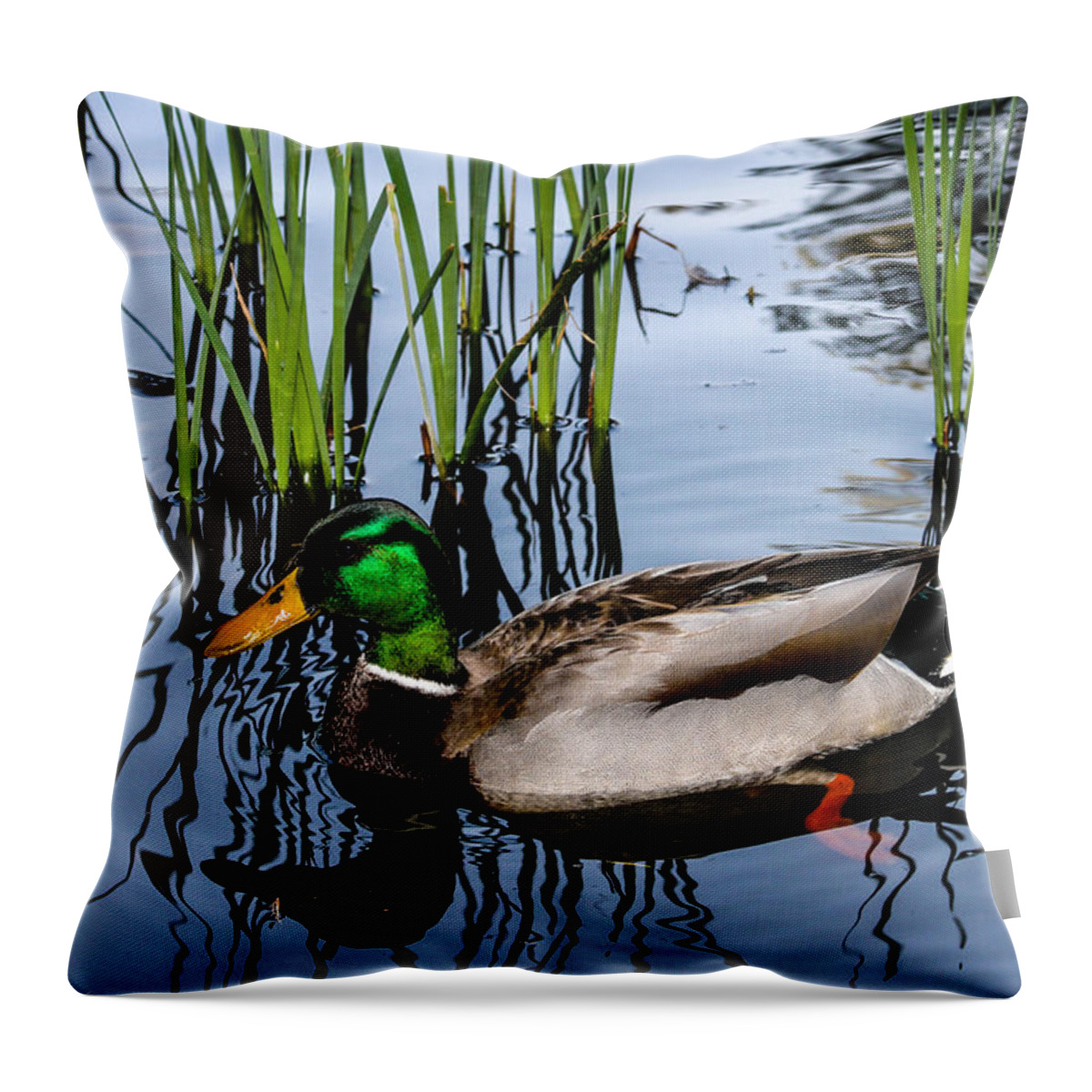 Duck Throw Pillow featuring the photograph Mallard Reflections by Robert Hebert