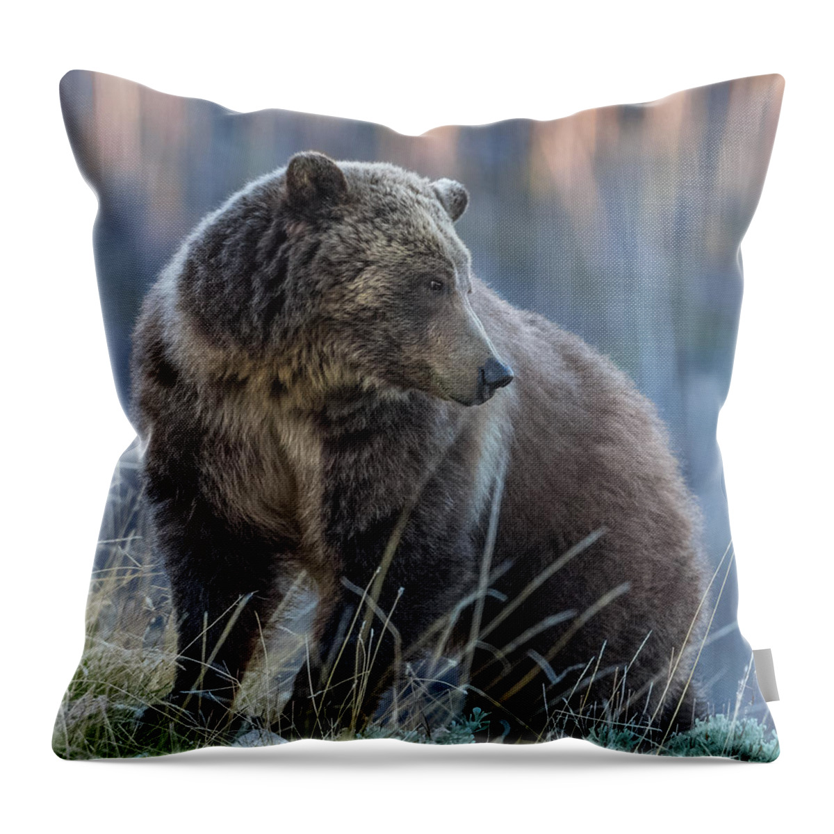 Raspberry Throw Pillow featuring the photograph Mama Raspberry Watching Snow by Yeates Photography