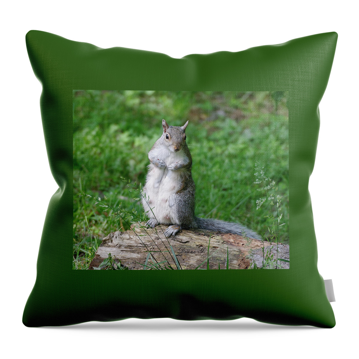 Mama Squirrel Throw Pillow featuring the photograph Mama Squirrel by Diane Giurco