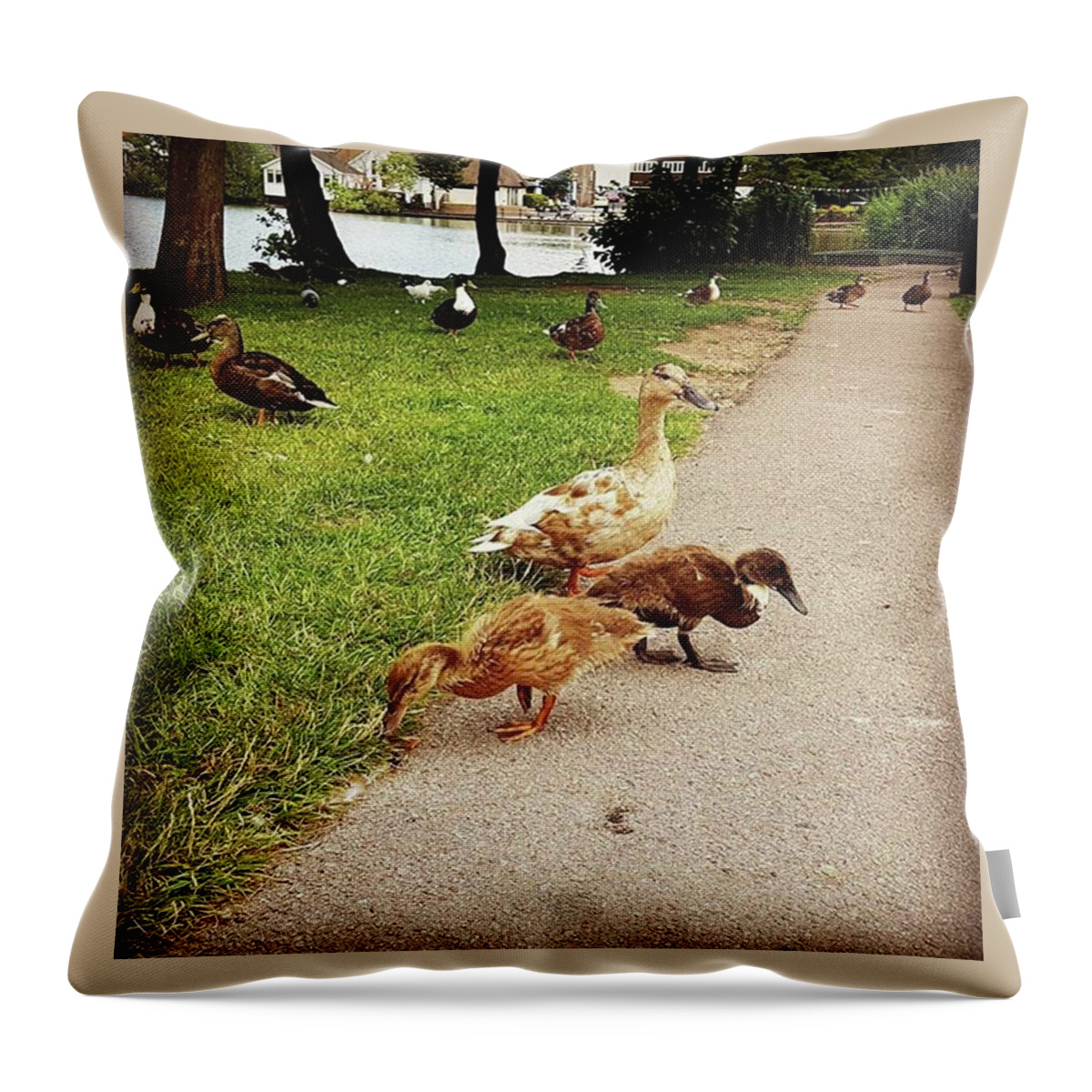 Countrylife Throw Pillow featuring the photograph Mamma Duck by Rowena Tutty