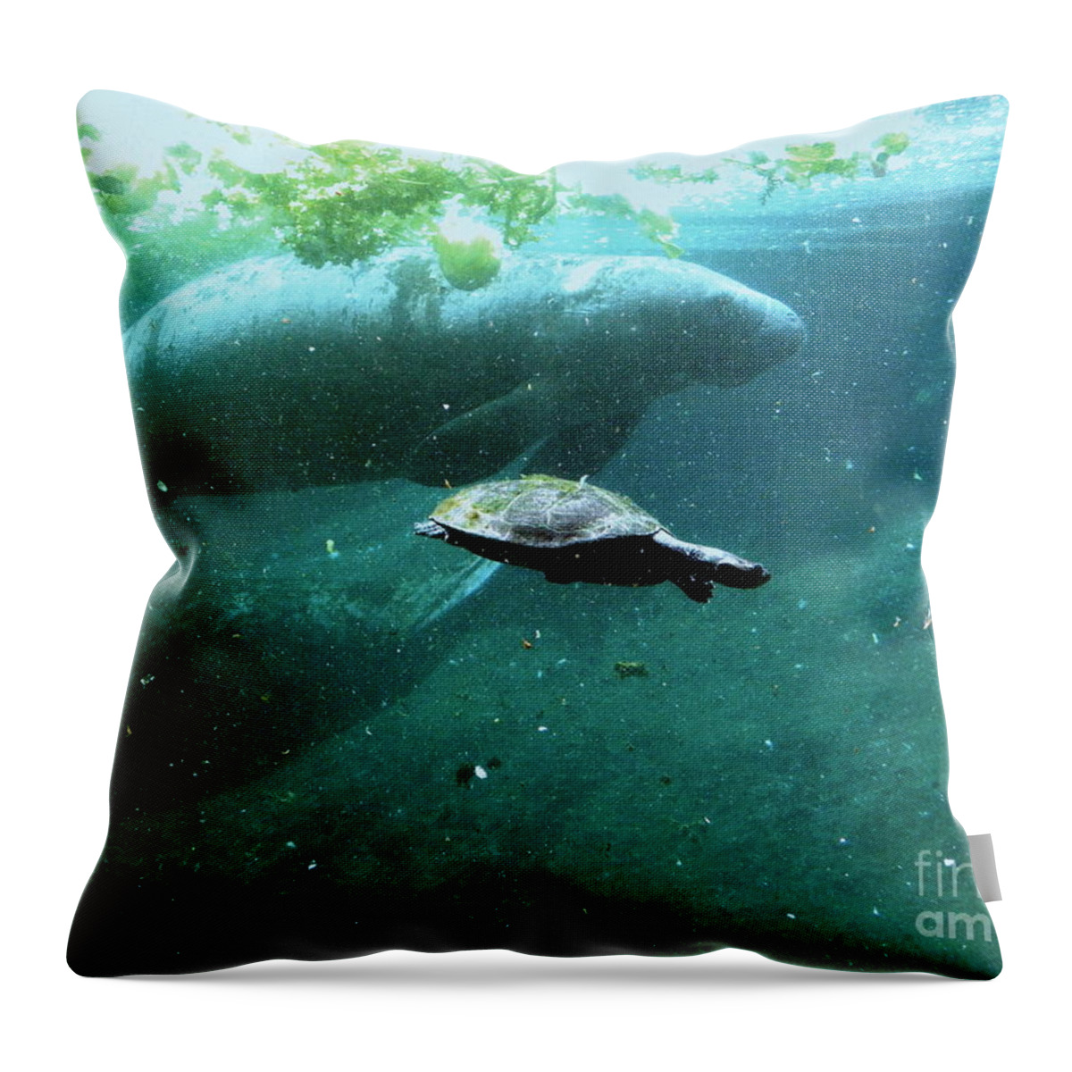 Manatee Throw Pillow featuring the photograph Manatee and Sea Turtle by Terri Mills