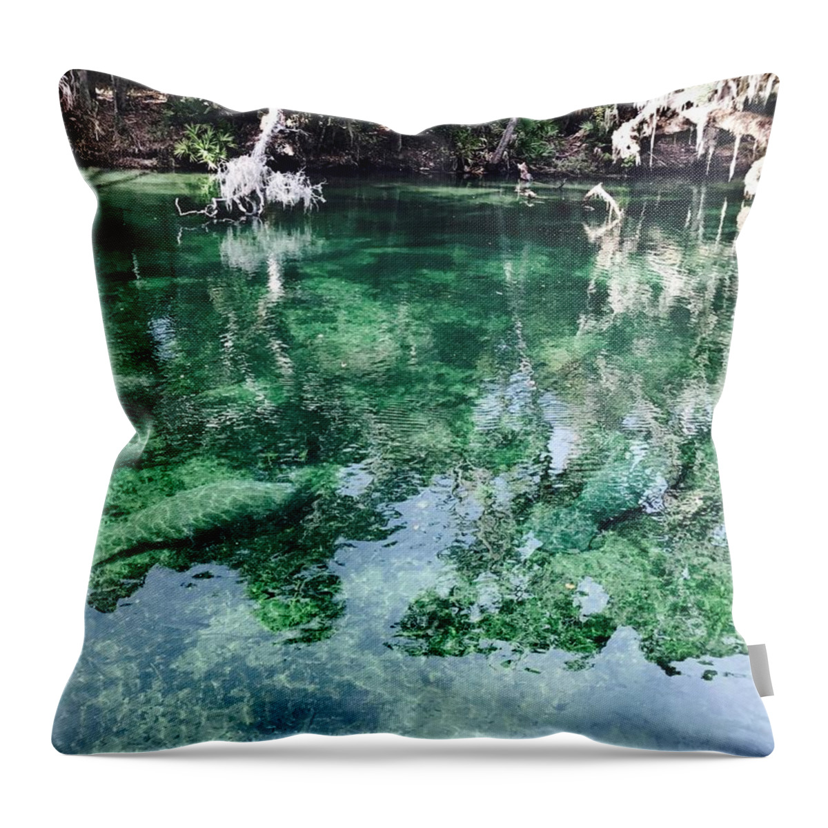 Manatees Throw Pillow featuring the photograph Manatees by Michael Albright
