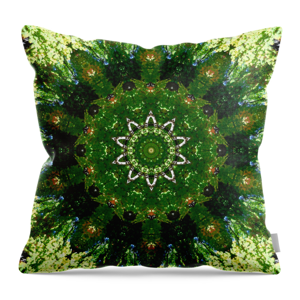 Mandala Kaleidoscopic Design Throw Pillow featuring the painting Mandala Kaleidoscopic Design 13 by Jeelan Clark