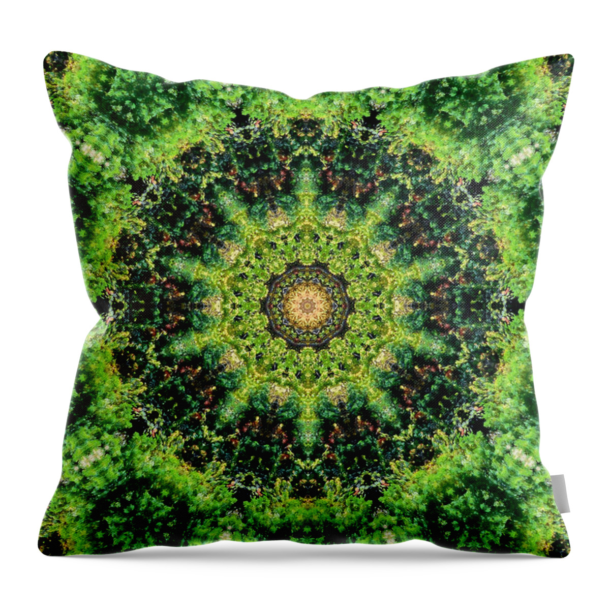 Mandala Kaleidoscopic Design Throw Pillow featuring the painting Mandala Kaleidoscopic Design 3 by Jeelan Clark