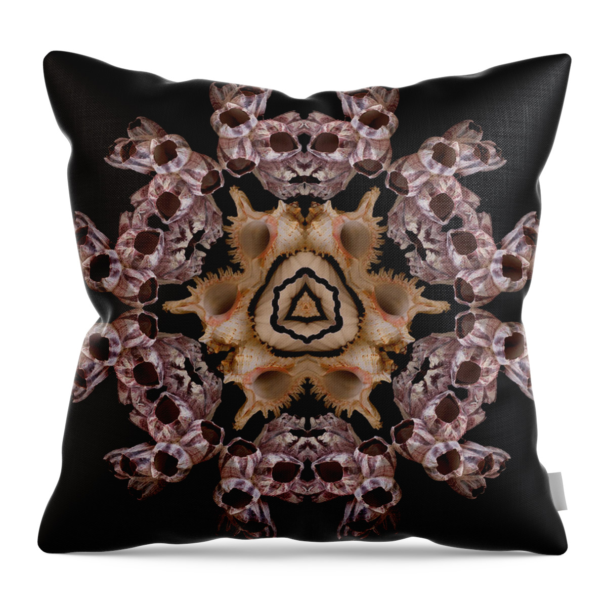 Shells Throw Pillow featuring the photograph Mandala Murex and Barnacle by Nancy Griswold
