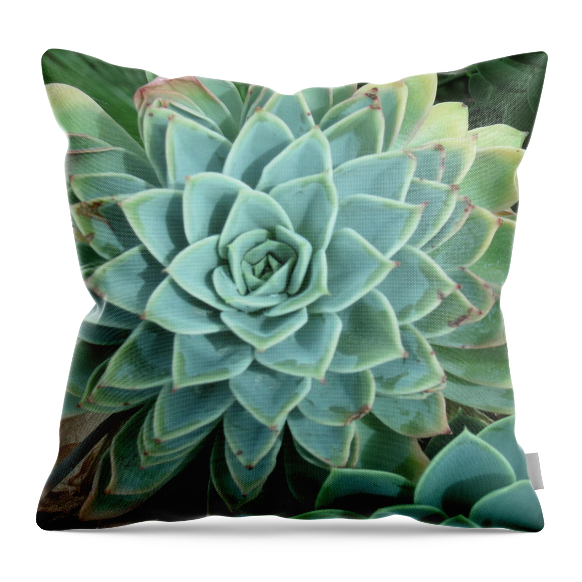 Throw Pillow featuring the photograph Mandala by Ron Monsour