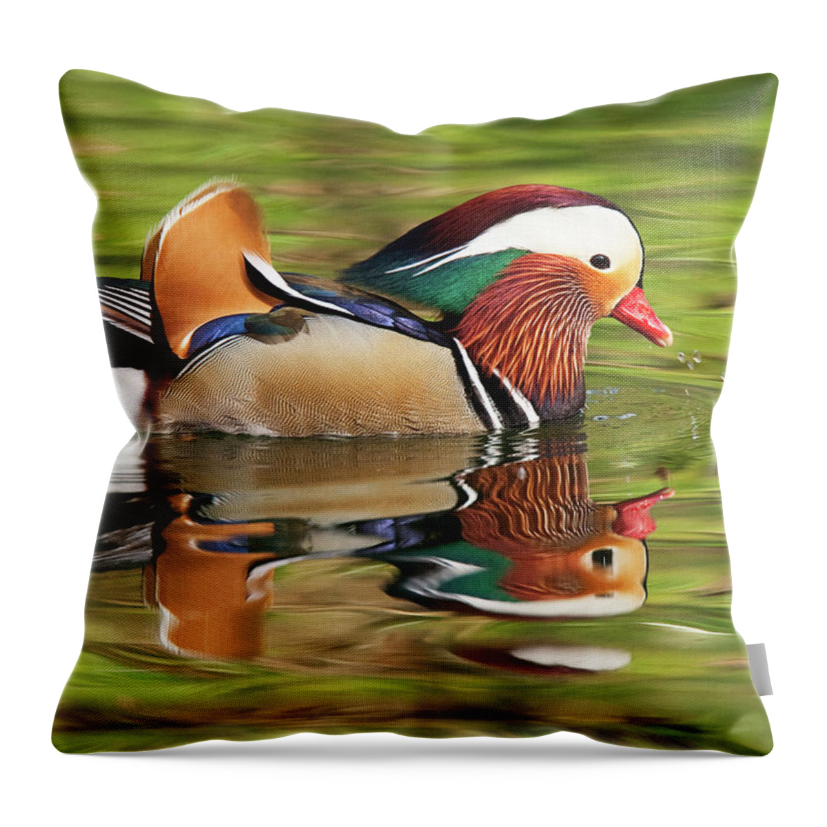 Mandarin Duck Throw Pillow featuring the photograph Mandarin Duck by Ram Vasudev