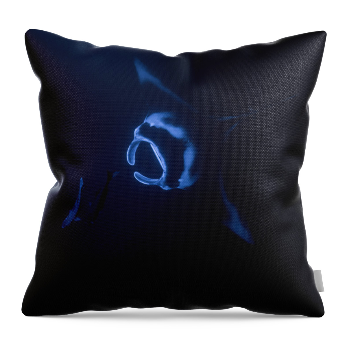 Adventure Throw Pillow featuring the photograph Manta Ray Asending by Art Atkins