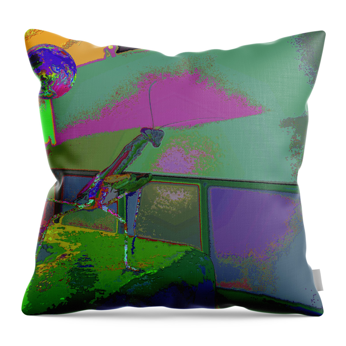 Mantis In Your Shade Of Play Throw Pillow featuring the photograph Mantis In Your Shade Of Play by Kenneth James