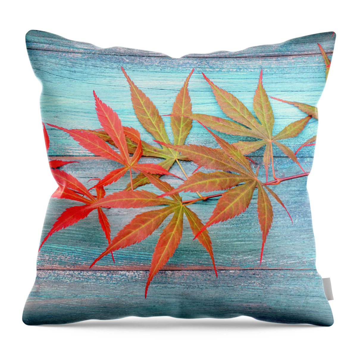 Leaves Throw Pillow featuring the photograph Maple Colors by Philippe Sainte-Laudy