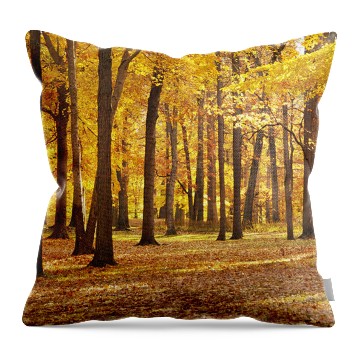 Maple Throw Pillow featuring the photograph Maple Glory by Frances Miller