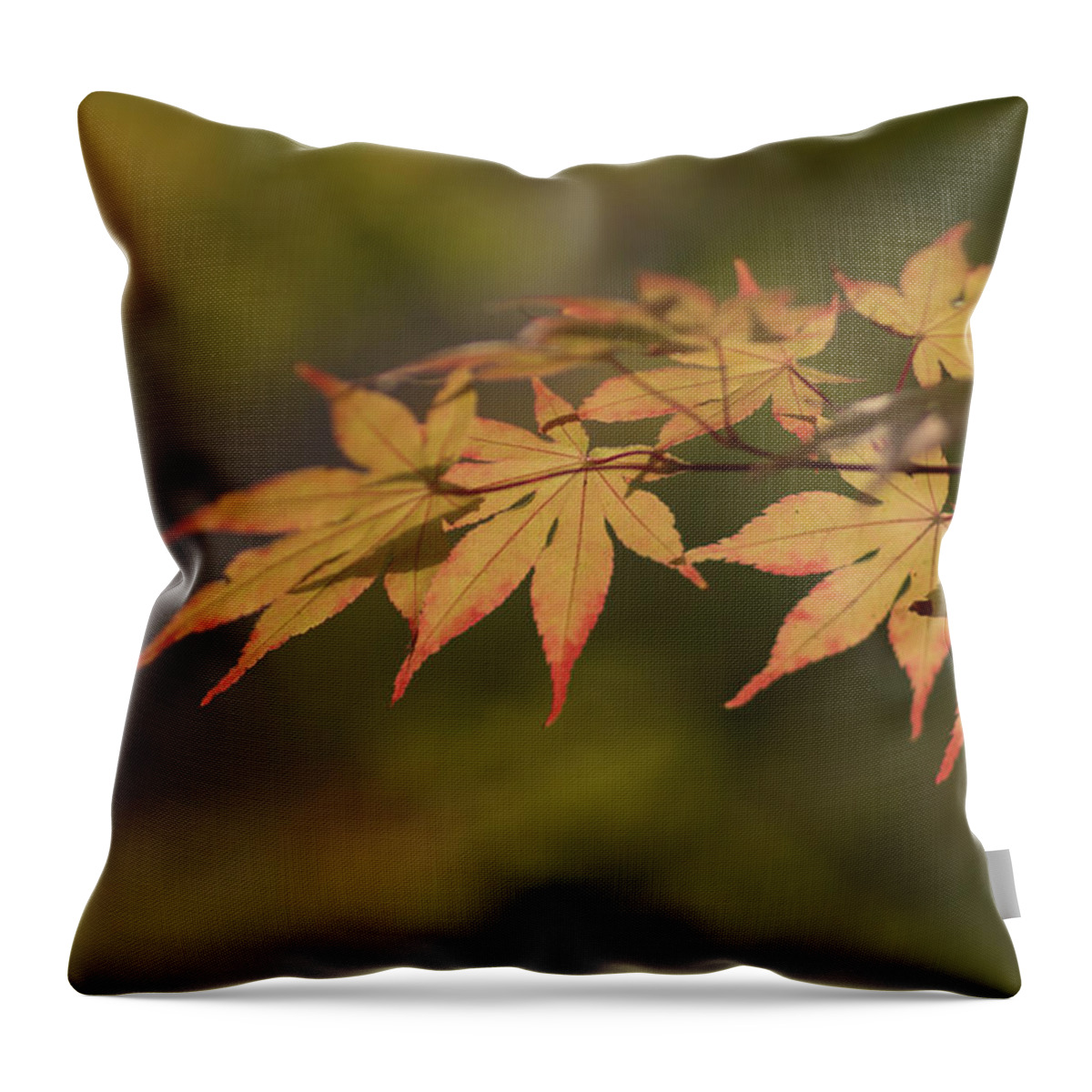 Autume Throw Pillow featuring the photograph Maple by Hyuntae Kim