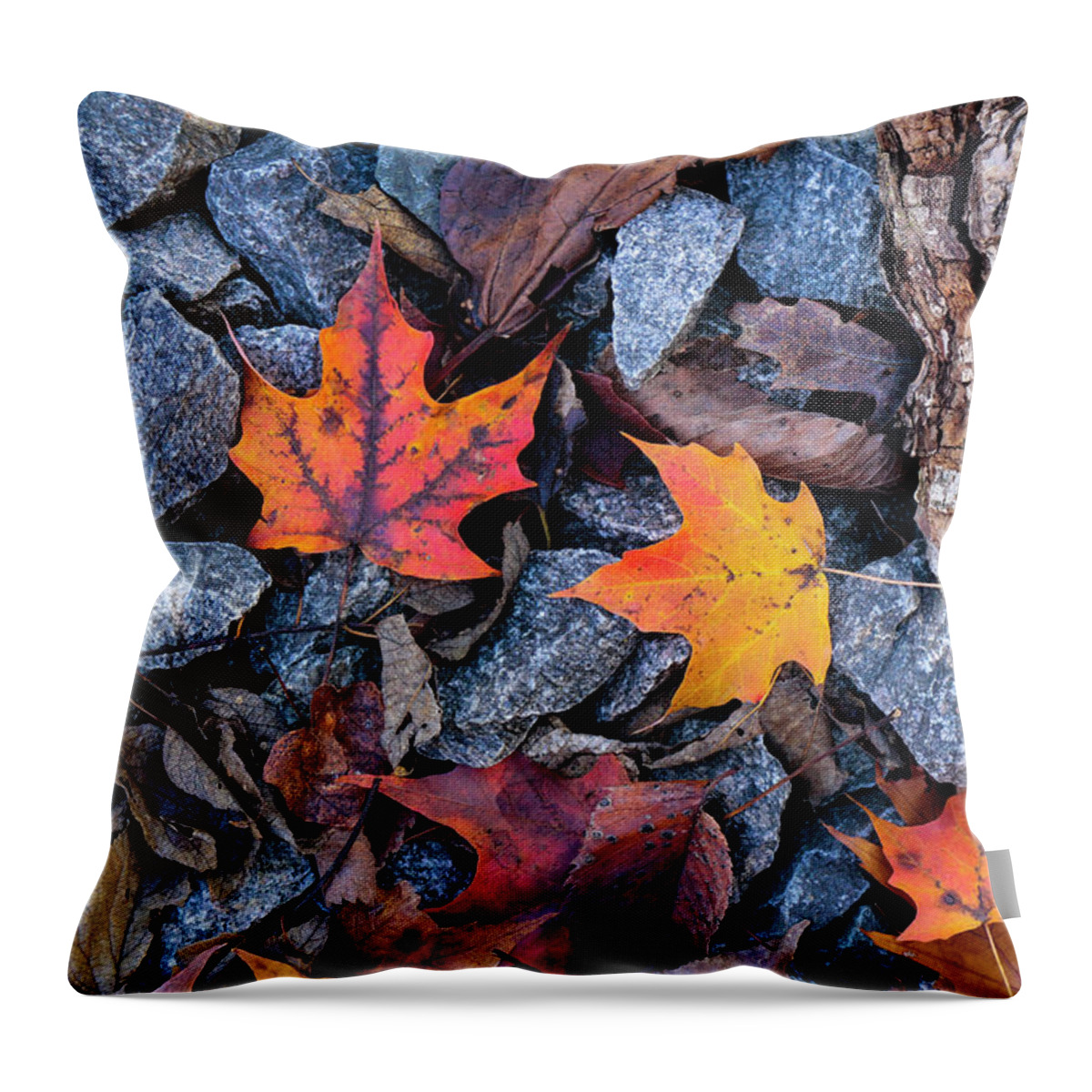 Autumn Throw Pillow featuring the photograph Maple Rocks by Todd Bannor