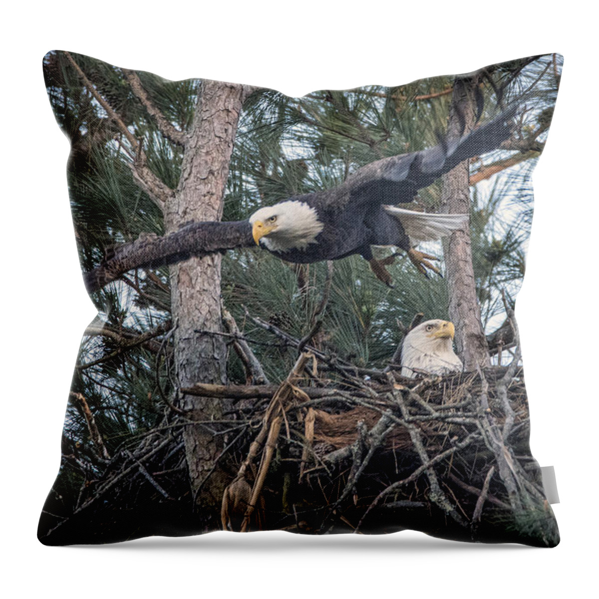 Animals Throw Pillow featuring the photograph March 25 2016 Gilbertsville Ky Eagle Flight by Jim Pearson