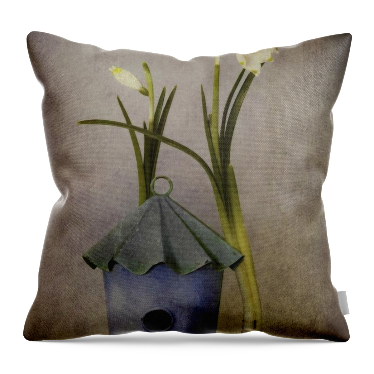Still Life Throw Pillow featuring the photograph March by Priska Wettstein