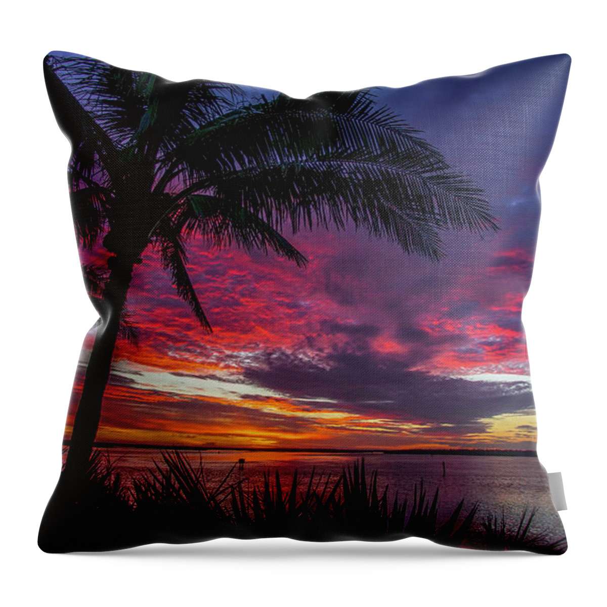 Marco Island Throw Pillow featuring the photograph Marco Fire Palm Sunrise by Joey Waves