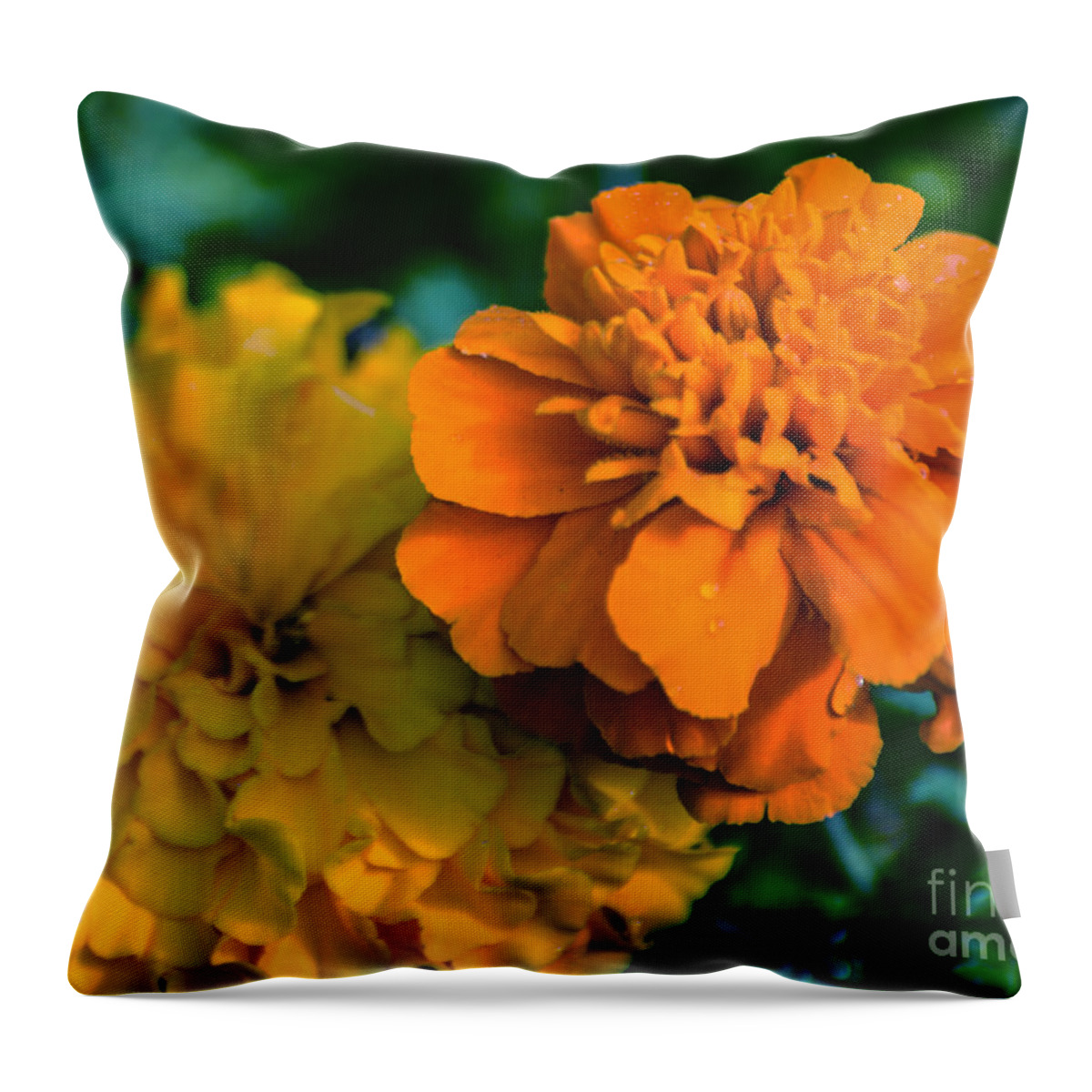 Marigold Throw Pillow featuring the photograph Marigold 1 by Metaphor Photo
