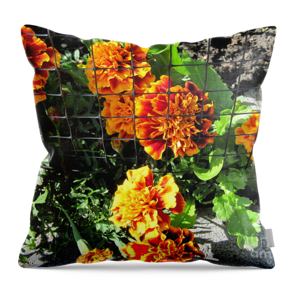 Portrait Throw Pillow featuring the photograph Marigolds in Prison by Donna L Munro