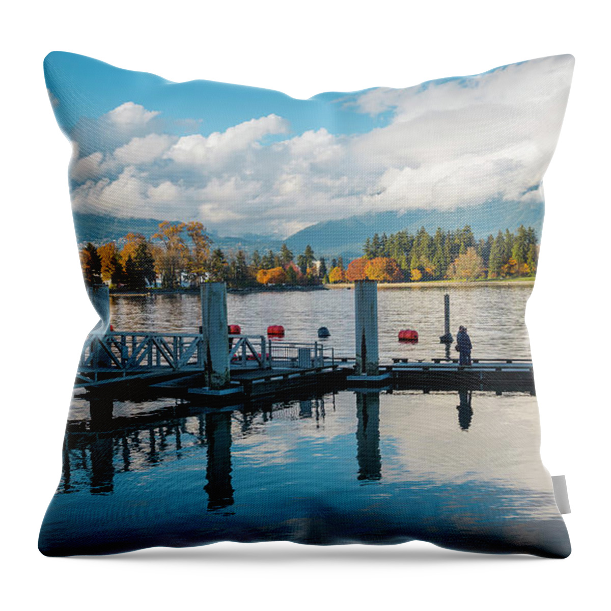 British Columbia Throw Pillow featuring the photograph Marina in Vancouver by Agnes Caruso
