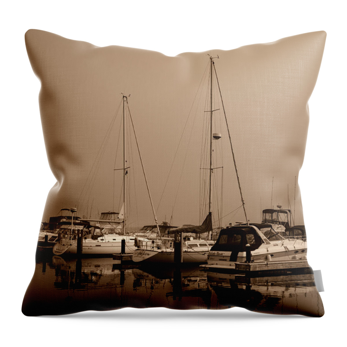 Marina Throw Pillow featuring the photograph Marina Light by James Meyer