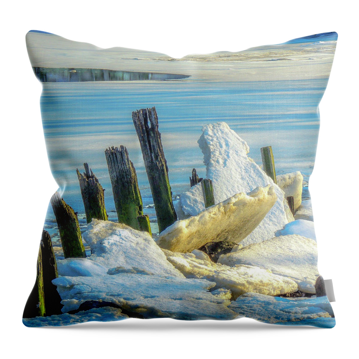 Landscapes Throw Pillow featuring the photograph Marina on the Rocks by Glenn Feron