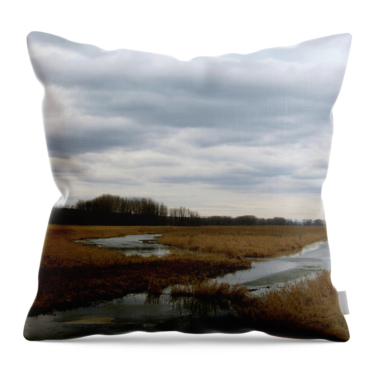 Marsh Throw Pillow featuring the photograph Marsh Day by Azthet Photography