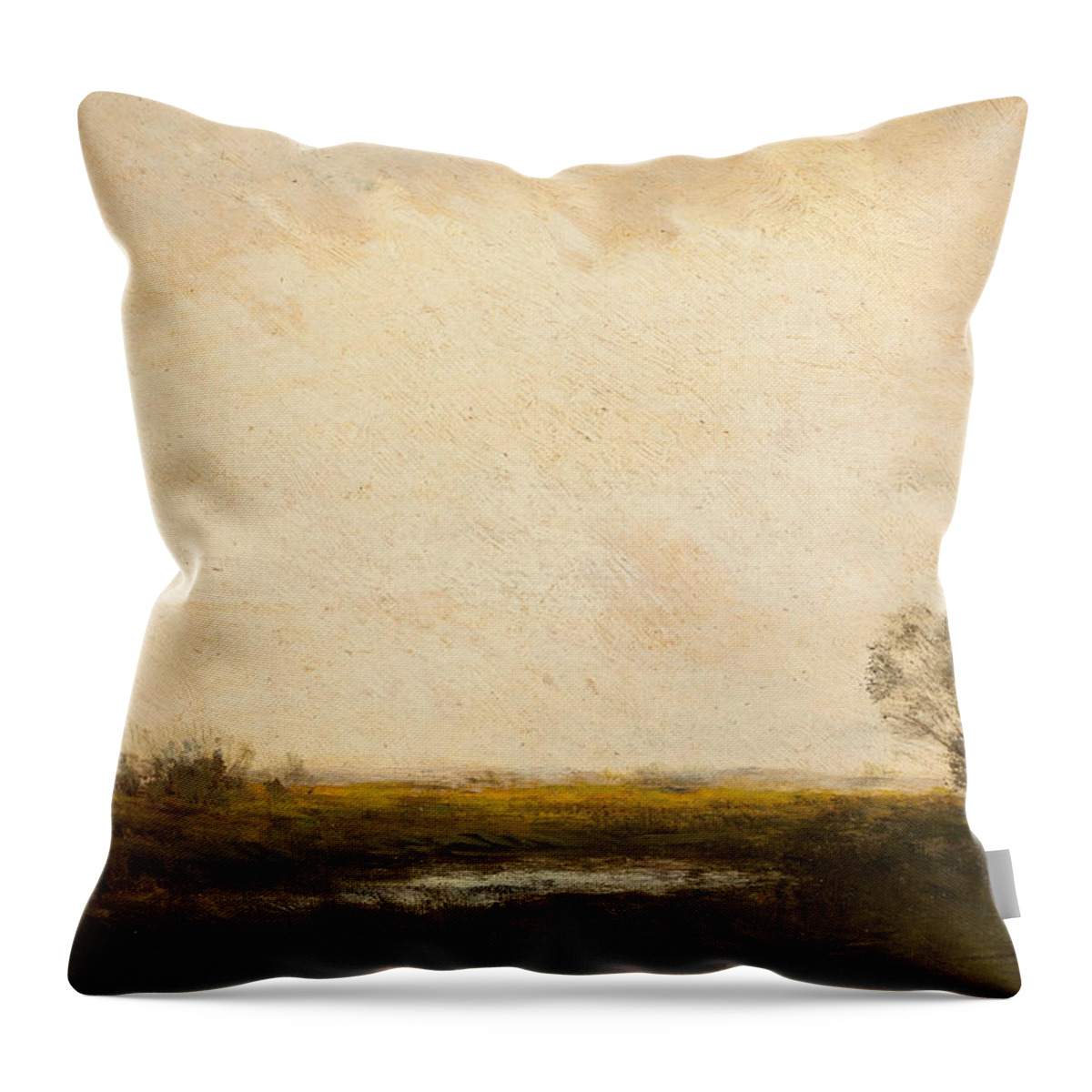 19th Century Art Throw Pillow featuring the painting Marsh Lands by Julian Onderdonk