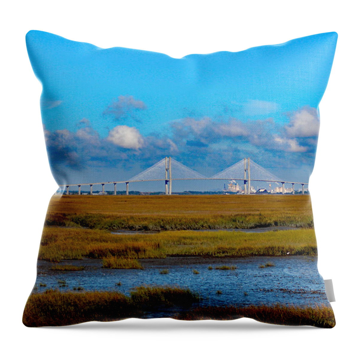 Nature Throw Pillow featuring the photograph Marsh-Sidney Lanier Bridge by DB Hayes