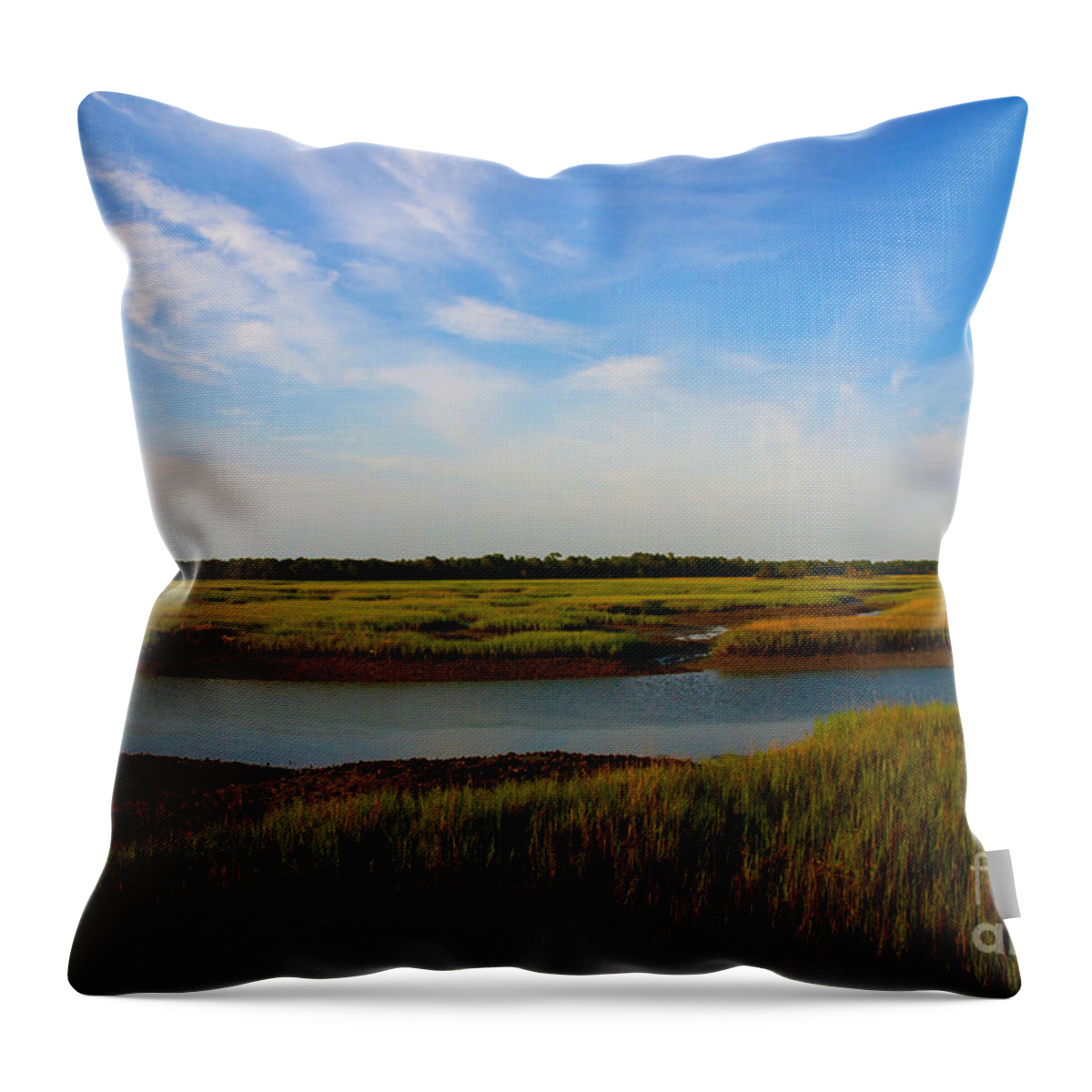 Marsh Throw Pillow featuring the photograph Marshland Charleston South Carolina by Susanne Van Hulst