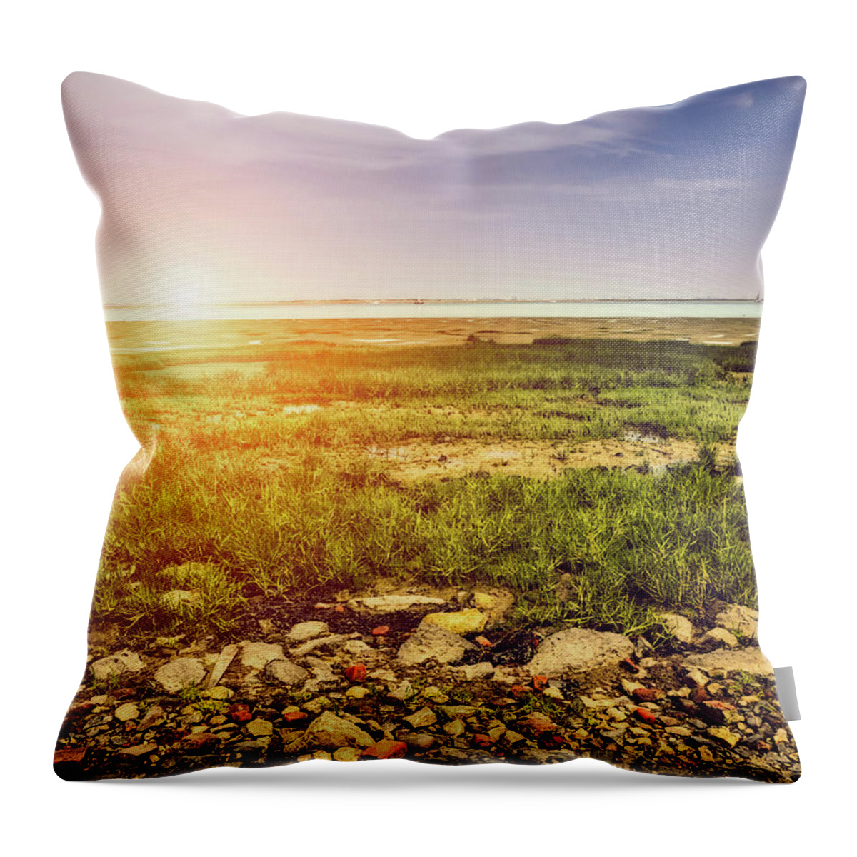 Marshland Throw Pillow featuring the photograph Marshland by Wim Lanclus