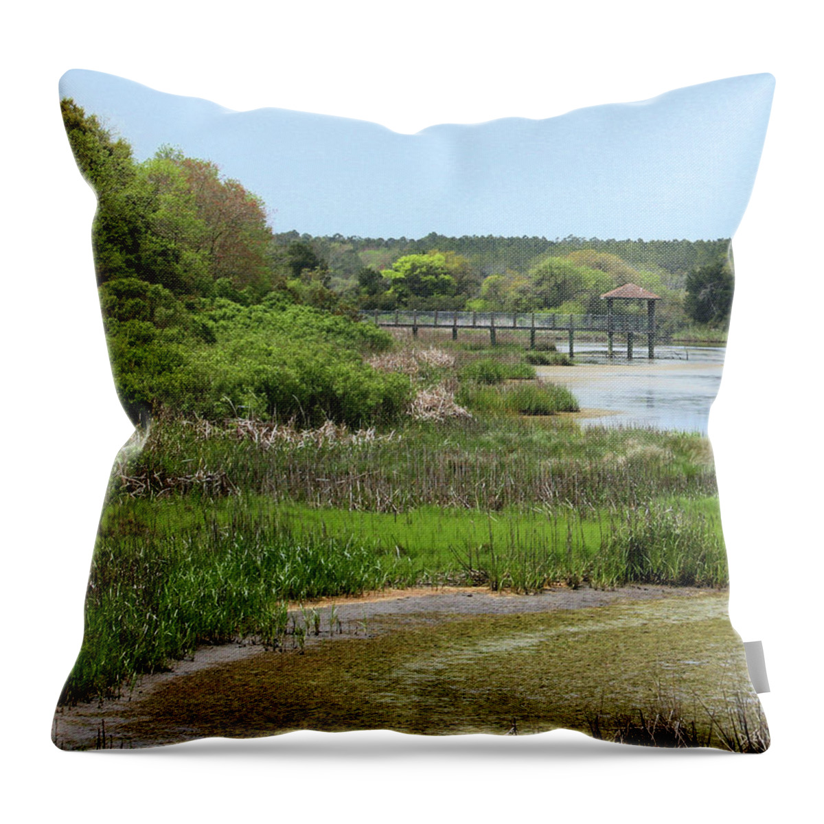 Swamp Throw Pillow featuring the photograph Marshlands by Cathy Harper
