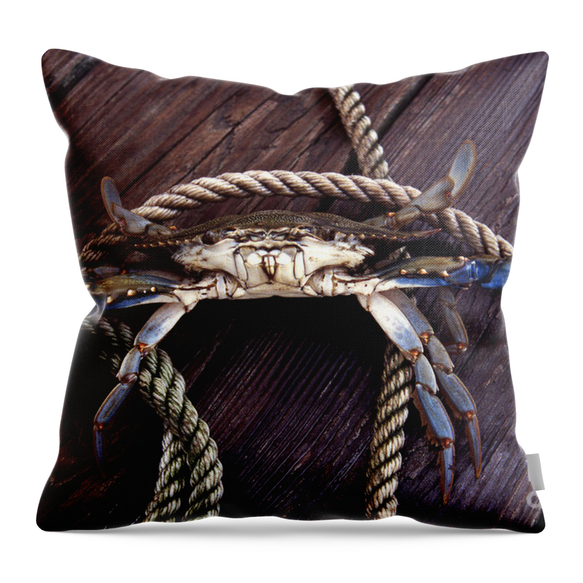 Nature Throw Pillow featuring the photograph Maryland Blue Crab by Skip Willits