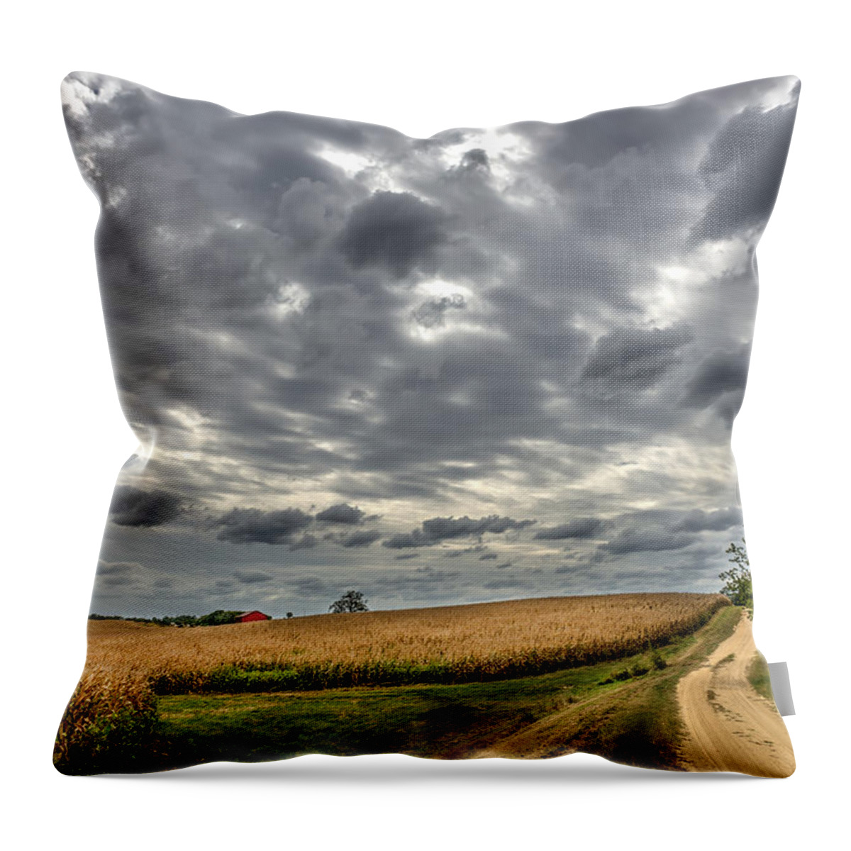 Landscape Throw Pillow featuring the photograph Maryland Country Road in Autumn at twilight by Patrick Wolf