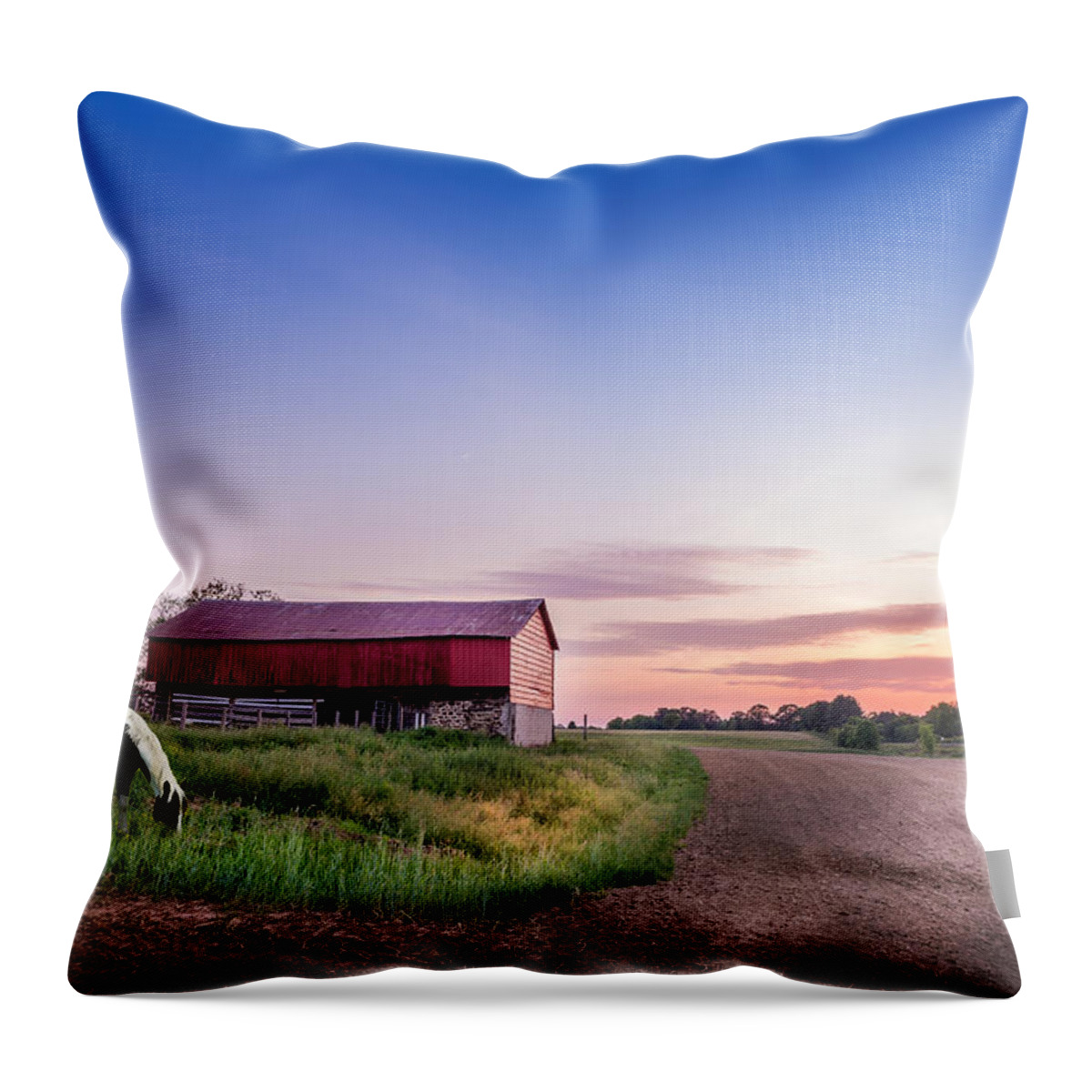 Farm Throw Pillow featuring the photograph Maryland Magic by Patrick Wolf