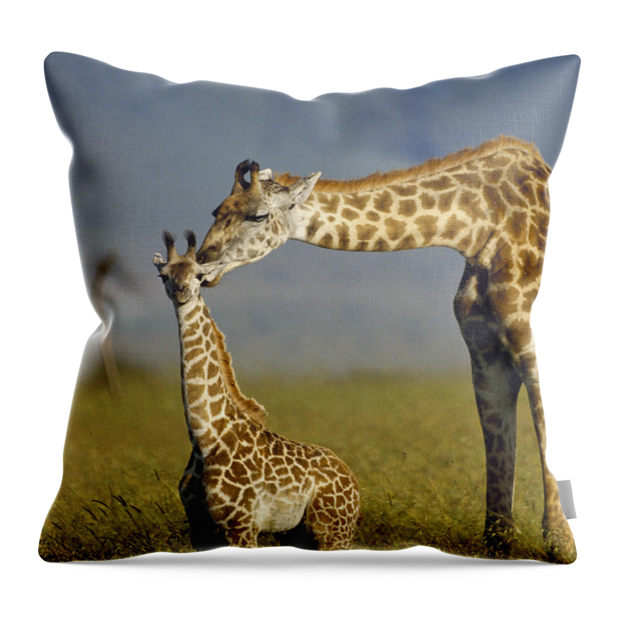 Mp Throw Pillow featuring the photograph Masai Giraffe Mother And Young Kenya by Tim Fitzharris