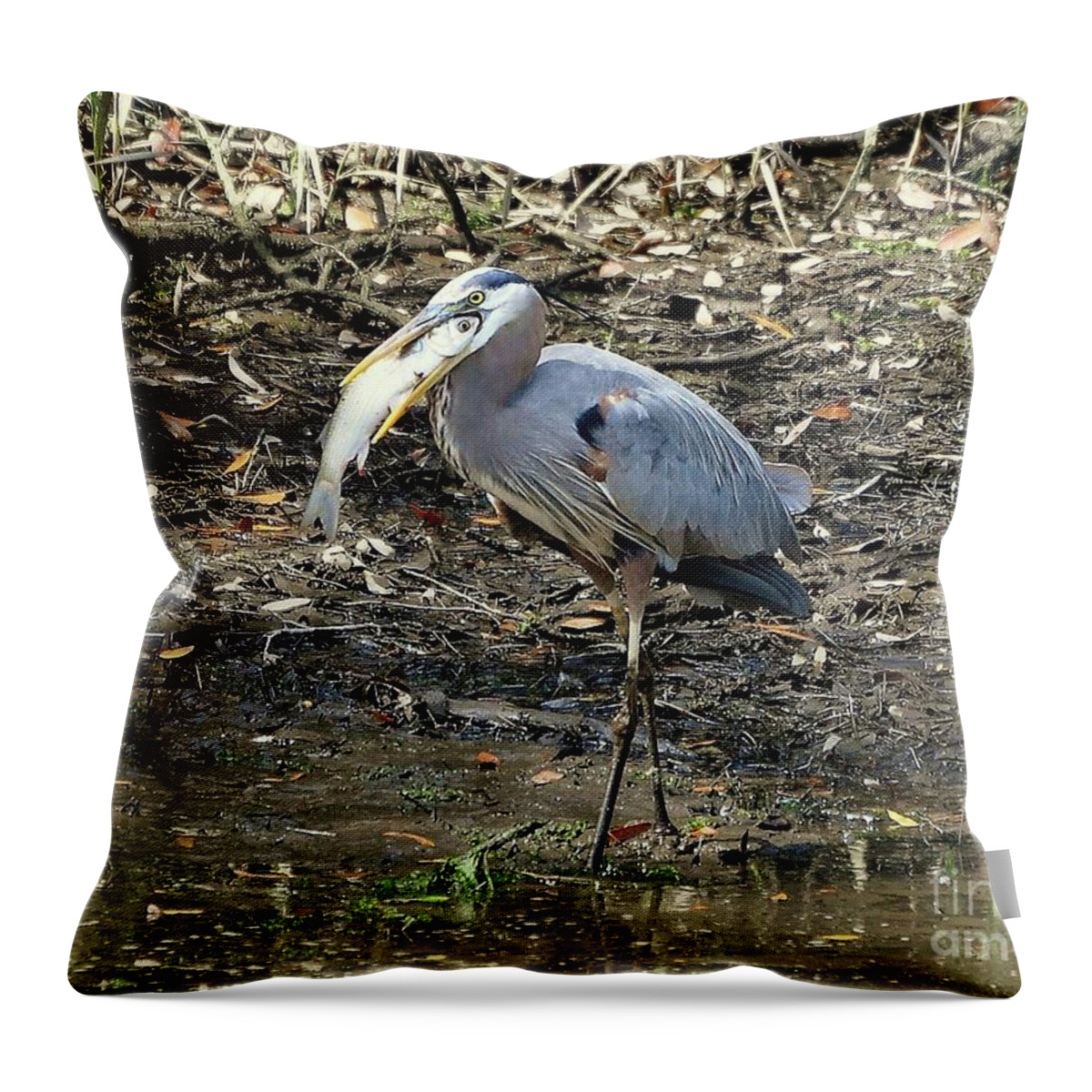 Great Blue Heron Throw Pillow featuring the photograph Massive Meal by Al Powell Photography USA