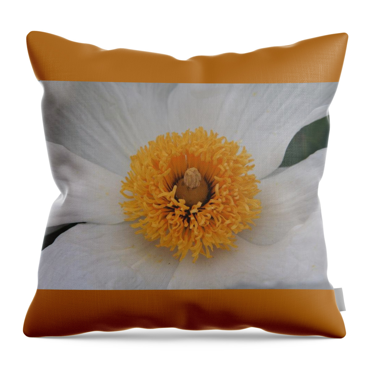Flower Throw Pillow featuring the photograph Matajilla Madness by Cheryl Wallace